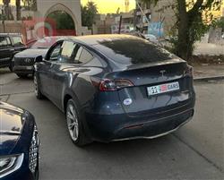 تێسلا مۆدێلی Y